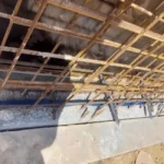 Zina Food Production Warehouse